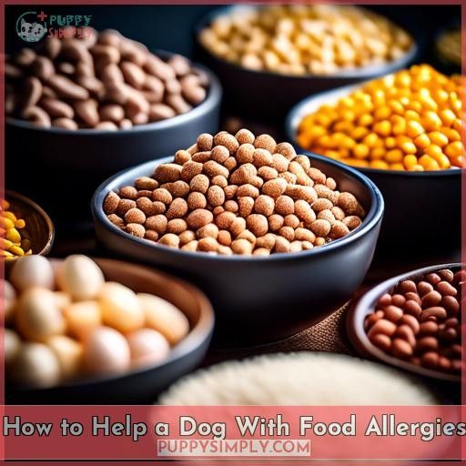 How to Help a Dog With Food Allergies
