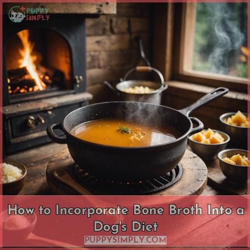 How to Incorporate Bone Broth Into a Dog
