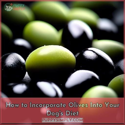 How to Incorporate Olives Into Your Dog