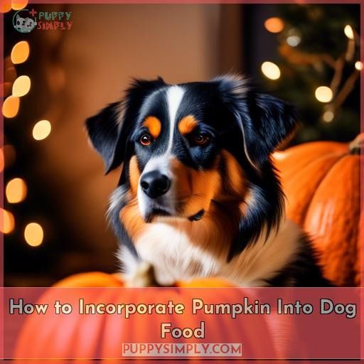 How to Incorporate Pumpkin Into Dog Food