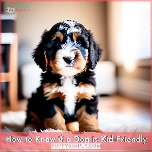 How to Know if a Dog is Kid-Friendly