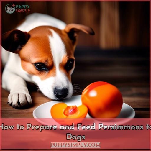 How to Prepare and Feed Persimmons to Dogs