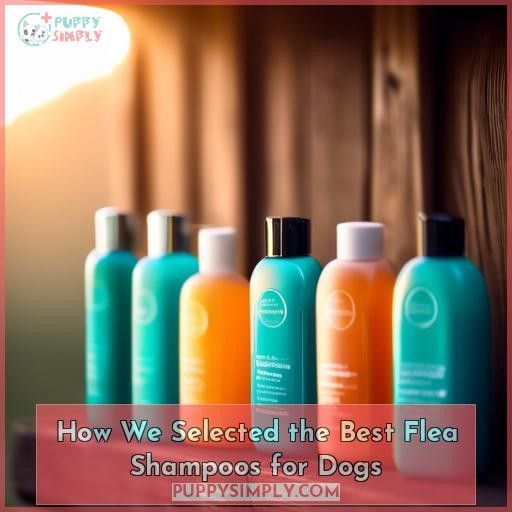 How We Selected the Best Flea Shampoos for Dogs