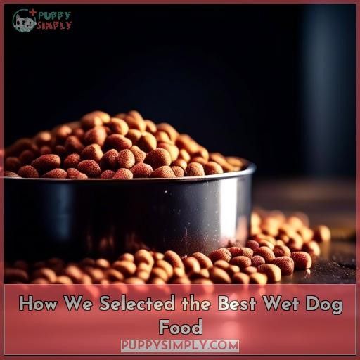 How We Selected the Best Wet Dog Food
