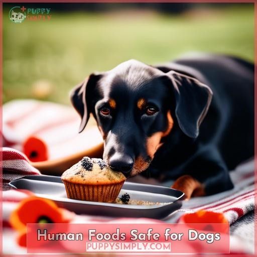 Human Foods Safe for Dogs