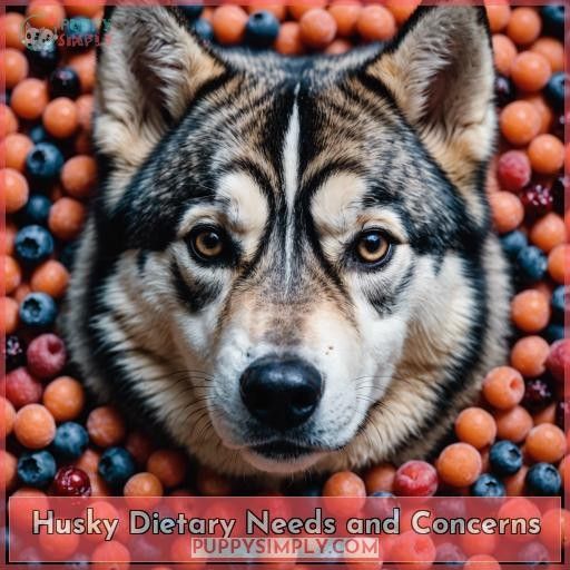 Husky Dietary Needs and Concerns