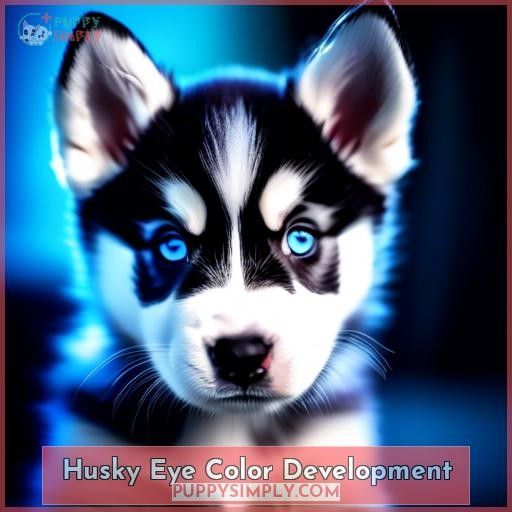 Husky Eye Color Development
