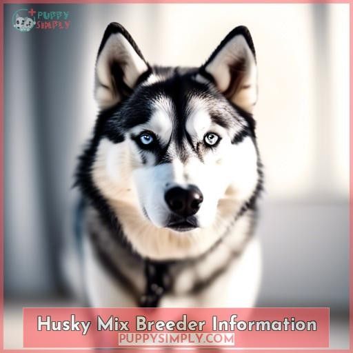 Husky Mix Breeder Information