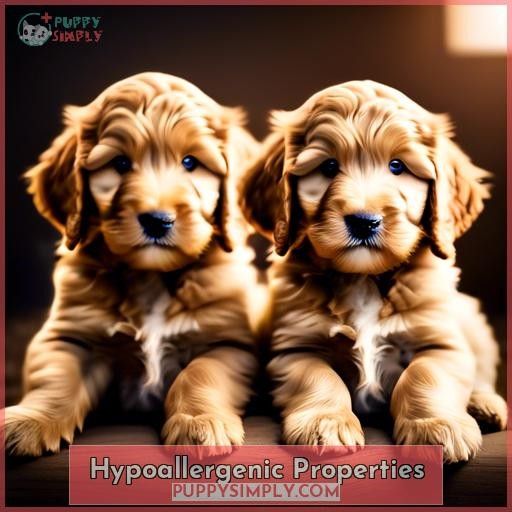 Hypoallergenic Properties