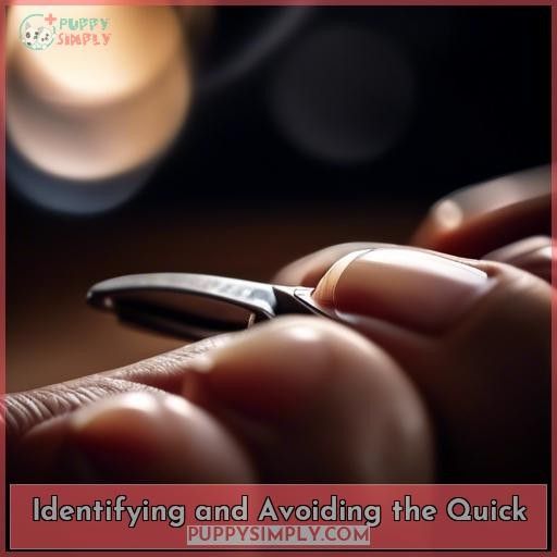 Identifying and Avoiding the Quick