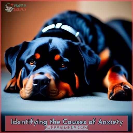 Identifying the Causes of Anxiety
