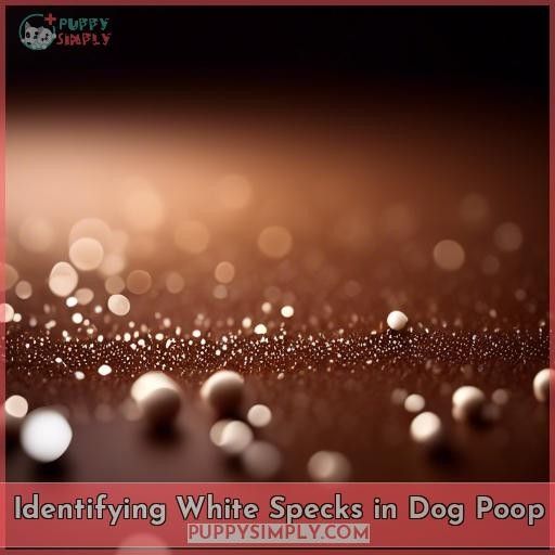 Identifying White Specks in Dog Poop