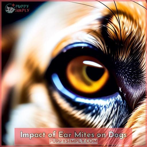 Impact of Ear Mites on Dogs