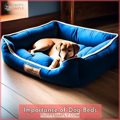 Importance of Dog Beds