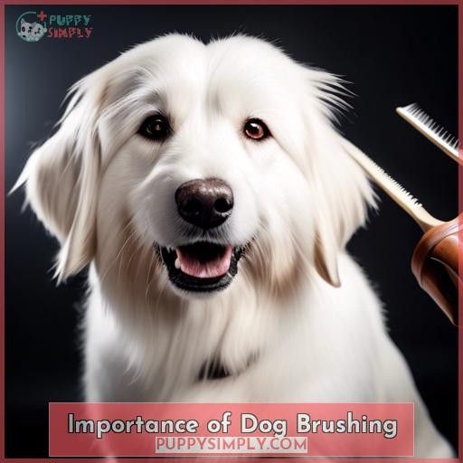 Importance of Dog Brushing