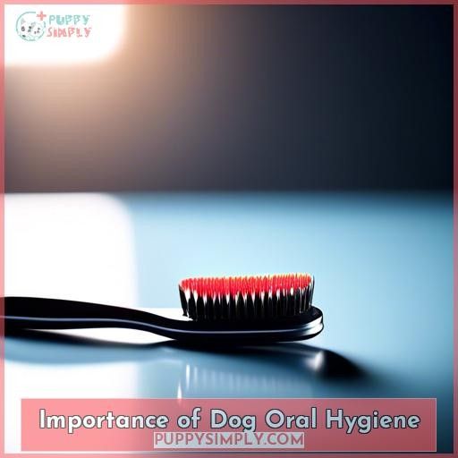 Importance of Dog Oral Hygiene