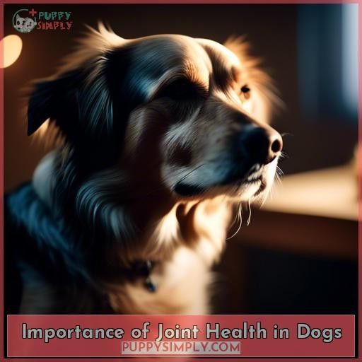Importance of Joint Health in Dogs