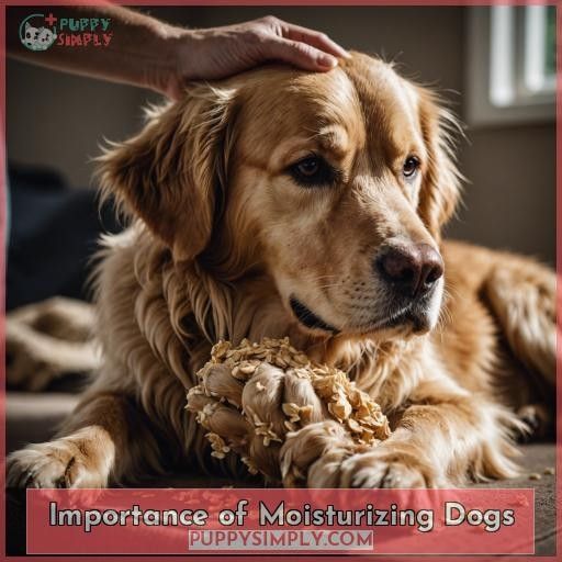Importance of Moisturizing Dogs