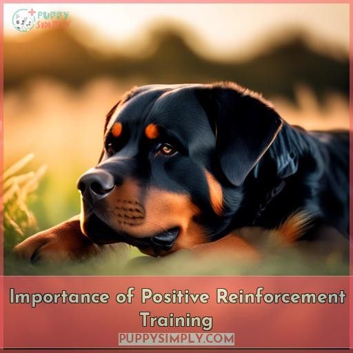 Importance of Positive Reinforcement Training
