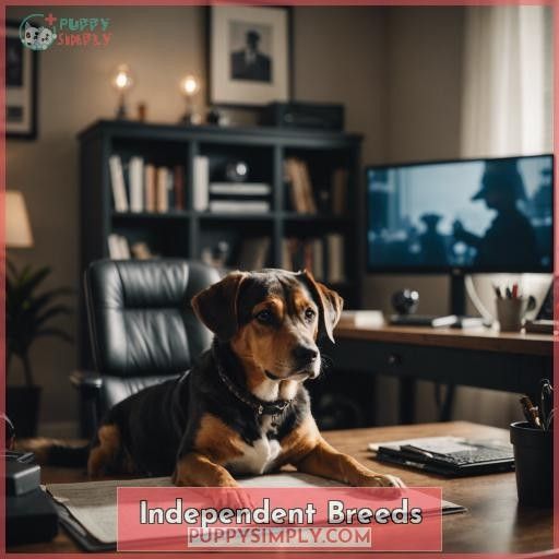 Independent Breeds