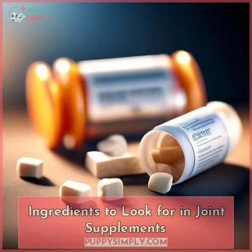 Ingredients to Look for in Joint Supplements