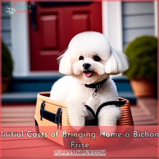 Initial Costs of Bringing Home a Bichon Frise