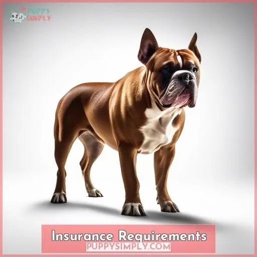 Insurance Requirements