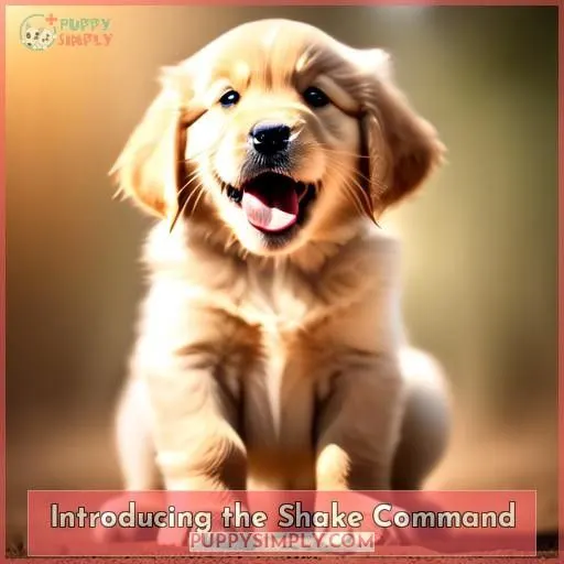 Introducing the Shake Command