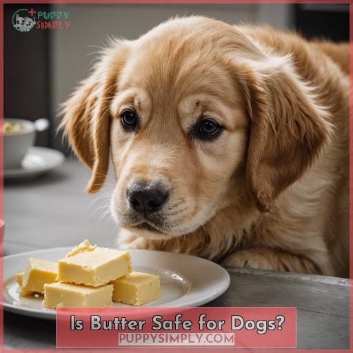Is Butter Safe for Dogs