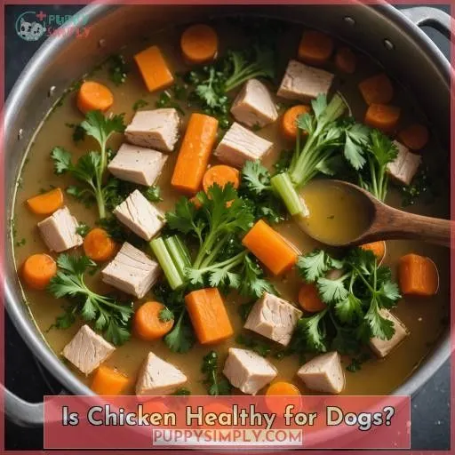 Is Chicken Healthy for Dogs