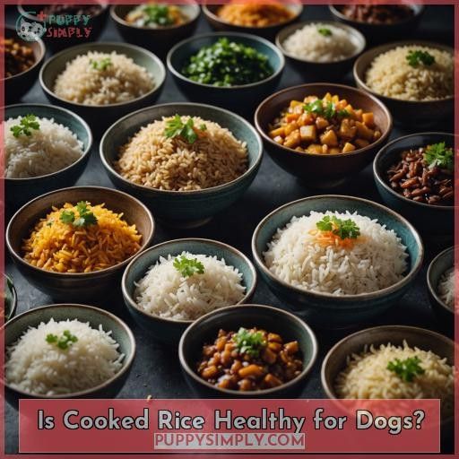Is Cooked Rice Healthy for Dogs