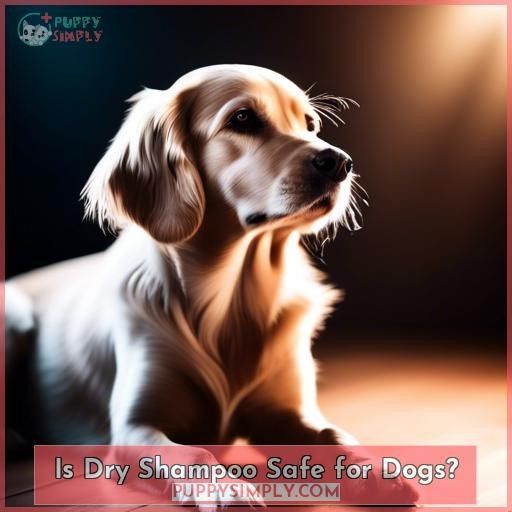 Is Dry Shampoo Safe for Dogs