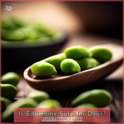 Is Edamame Safe for Dogs
