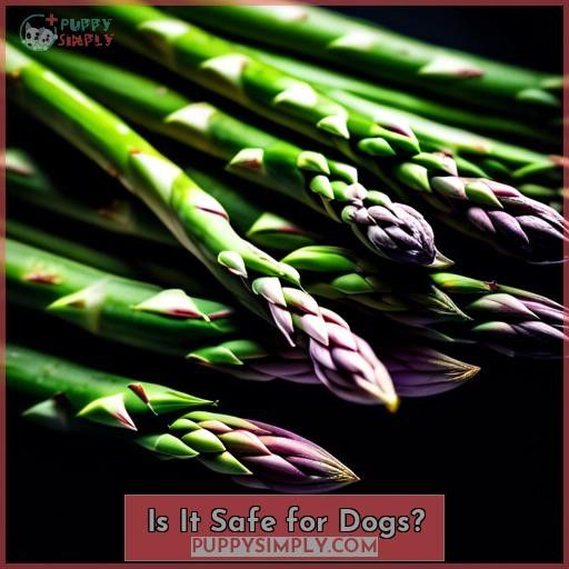 Is It Safe for Dogs
