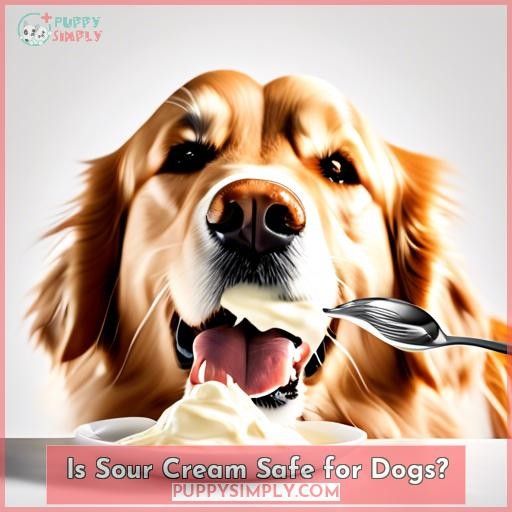 Is Sour Cream Safe for Dogs