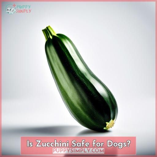 Is Zucchini Safe for Dogs