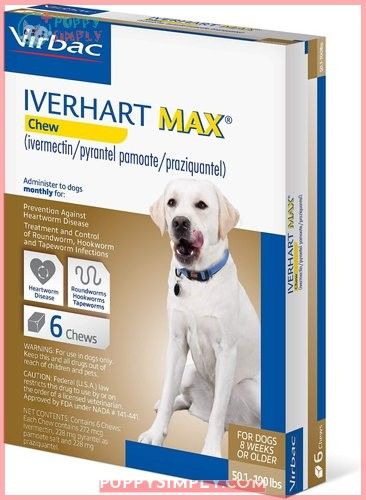 Iverhart Max Chew for Dogs,