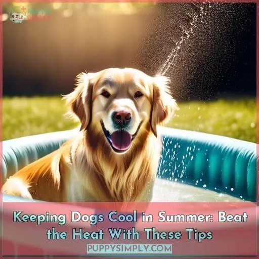 keeping dogs cool in summer