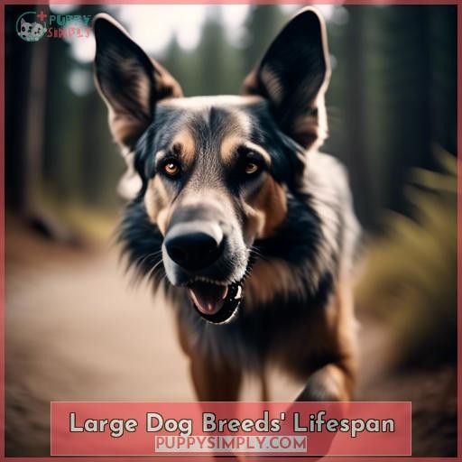 Large Dog Breeds