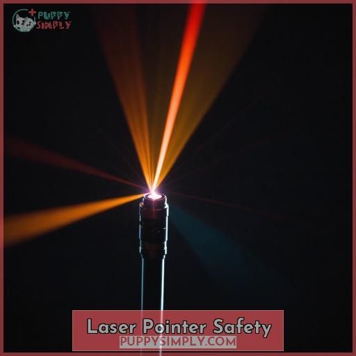 Laser Pointer Safety