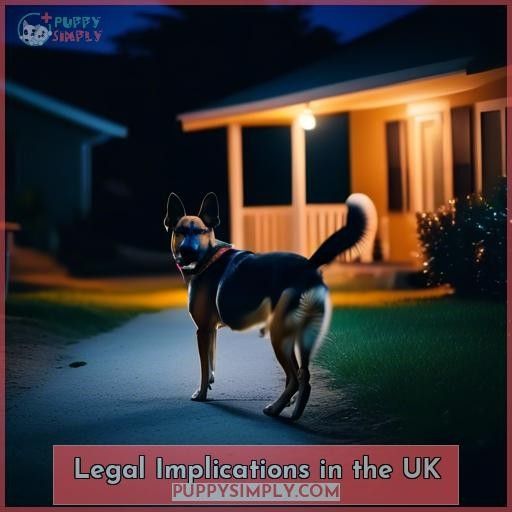 Legal Implications in the UK