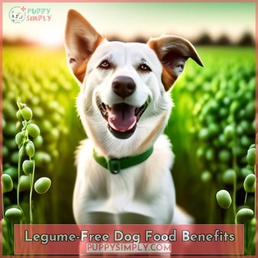 Legume-Free Dog Food Benefits