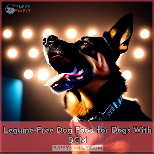 Legume-Free Dog Food for Dogs With DCM