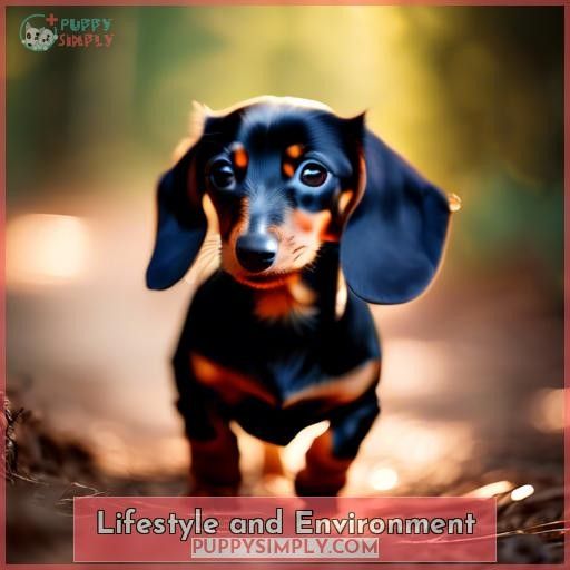 Lifestyle and Environment
