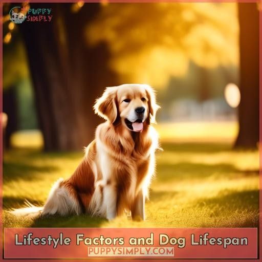 Lifestyle Factors and Dog Lifespan