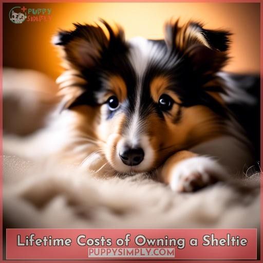 Lifetime Costs of Owning a Sheltie