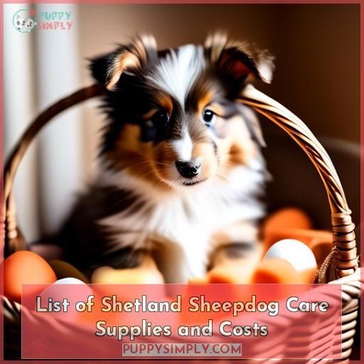 List of Shetland Sheepdog Care Supplies and Costs