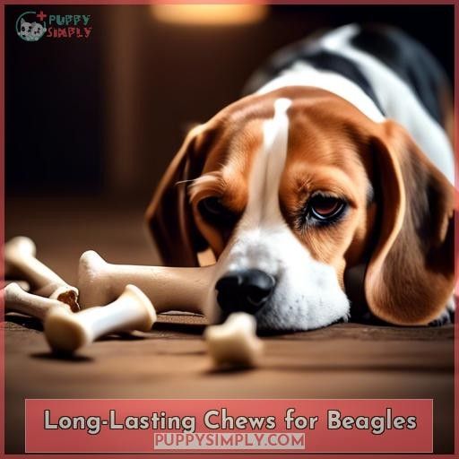 Long-Lasting Chews for Beagles