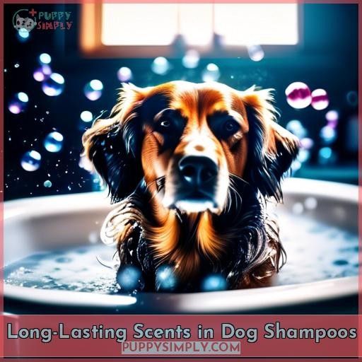 Long-Lasting Scents in Dog Shampoos
