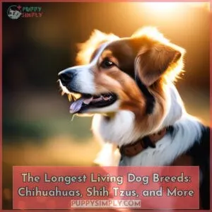 longest living dog breeds